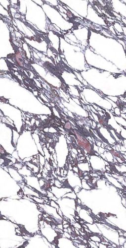 P131 - CALACATTA VIOLA